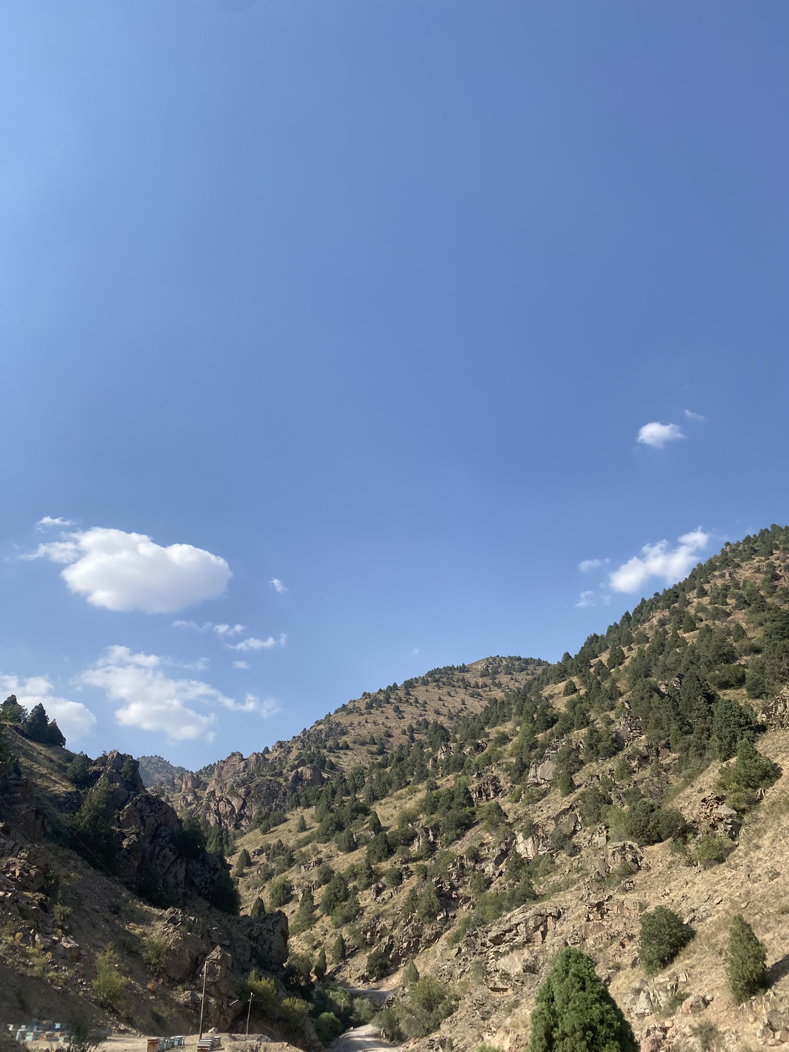 Yangiabad Nature 8